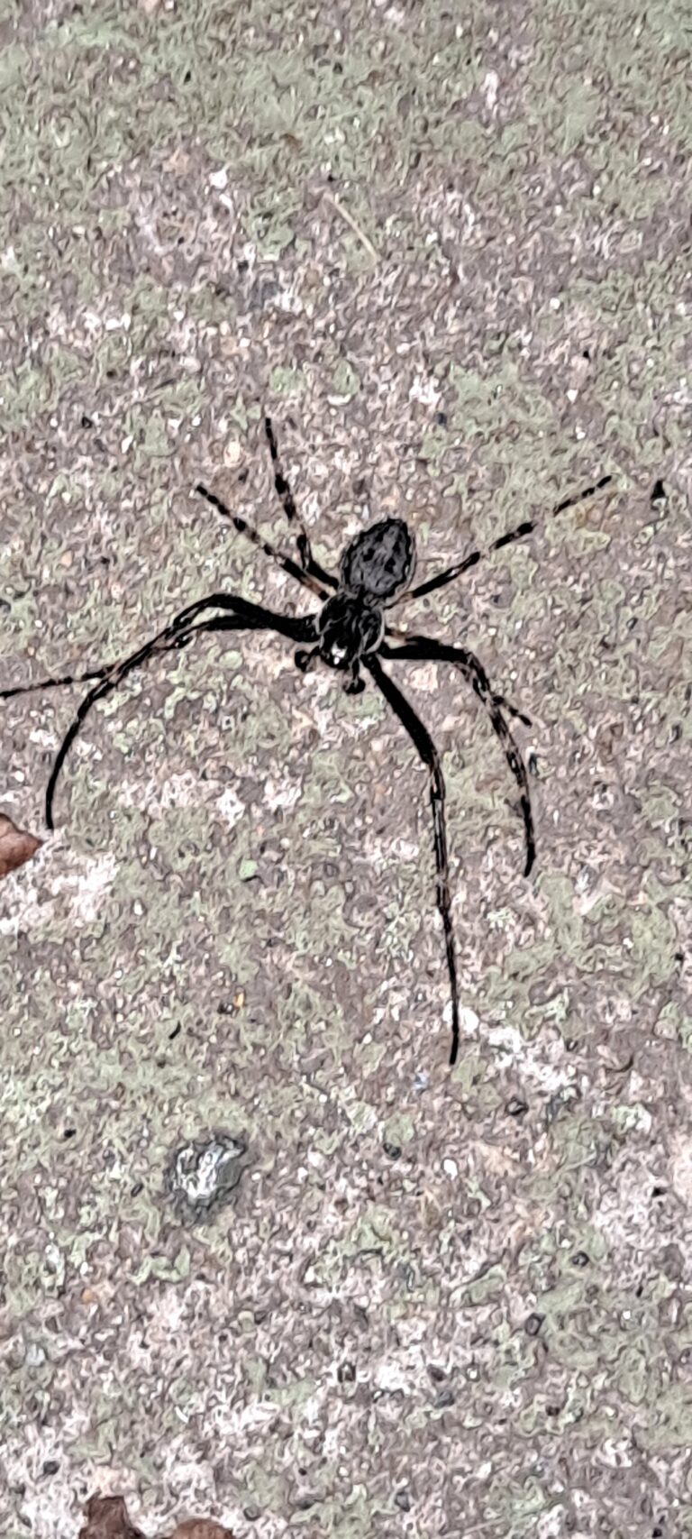 54646bee 1591 4177 948f 60f1c2b3dcc2 1 all 1210 768x1707